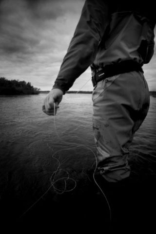 Waders