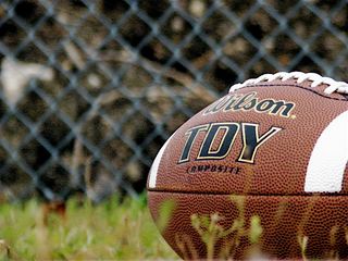 Fantasy football