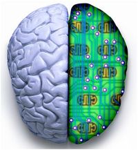 Brain science