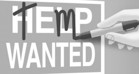 TempWanted - April 22 top